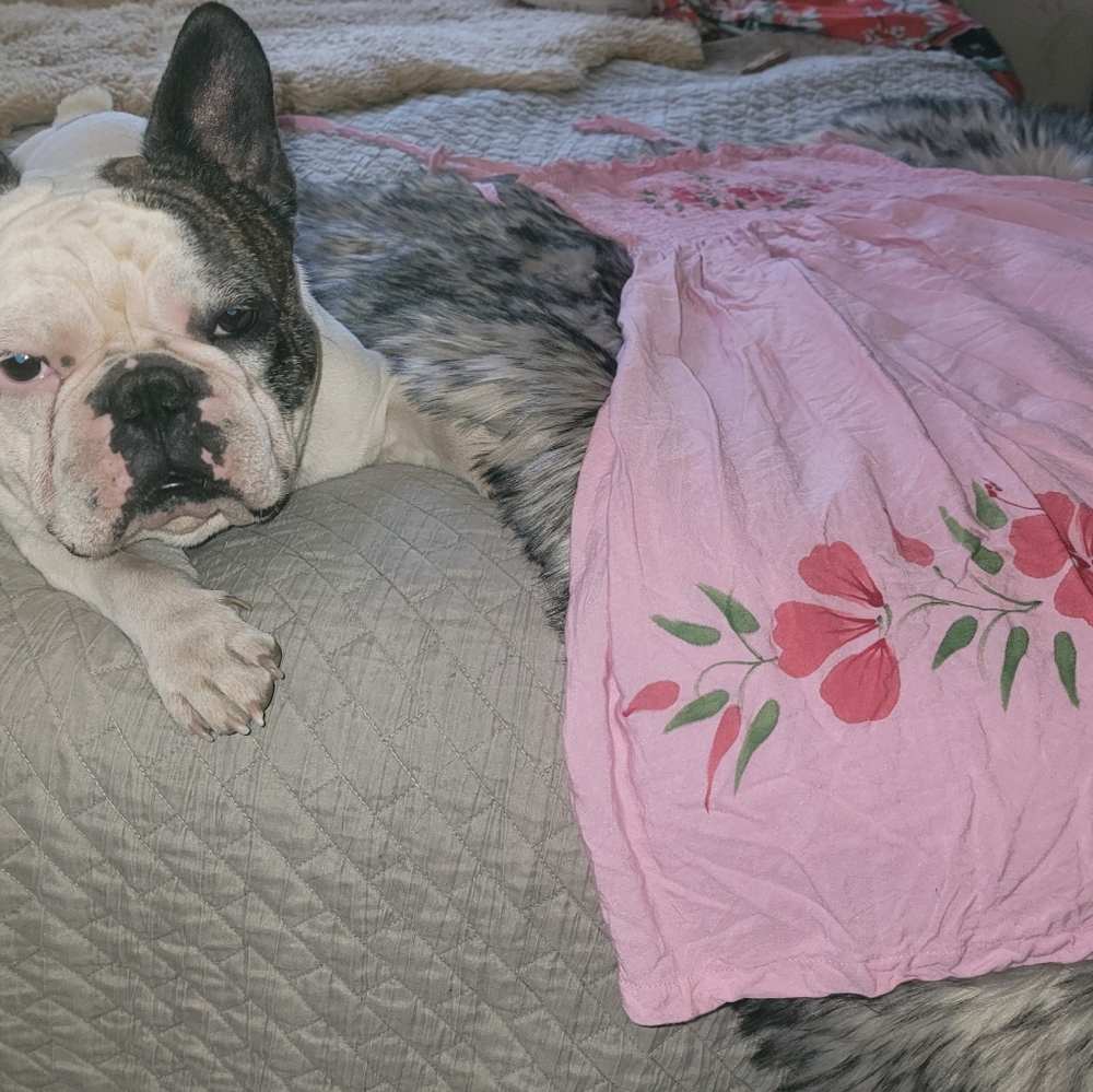 Summer dress